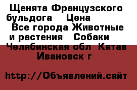 Щенята Французского бульдога. › Цена ­ 45 000 - Все города Животные и растения » Собаки   . Челябинская обл.,Катав-Ивановск г.